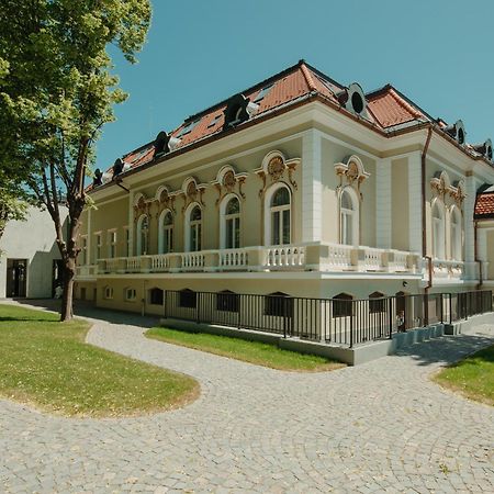 Boutique Hotel Cocosul De Aur Târgu-Mureş Esterno foto